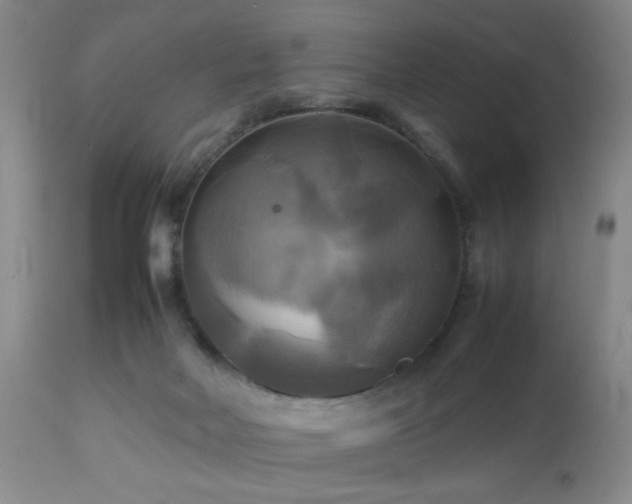 X0000112970026200909031056