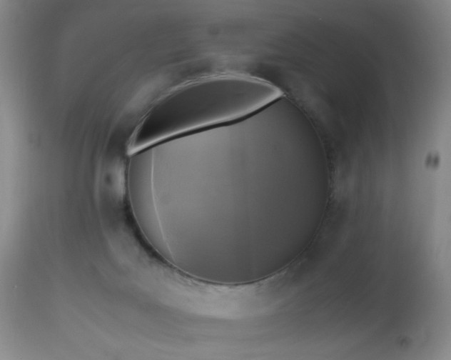 X0000112970027200909031056