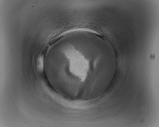 X0000112970028200909031056