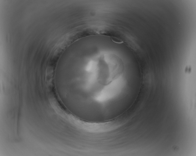 X0000112970030200909031056