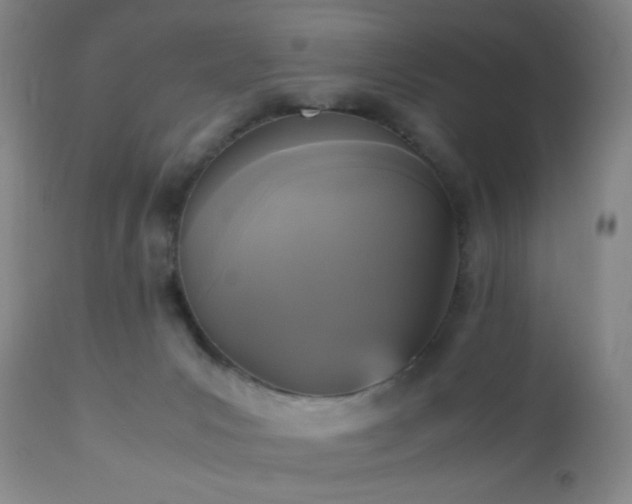 X0000112970031200909031056