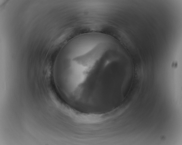 X0000112970032200909031056