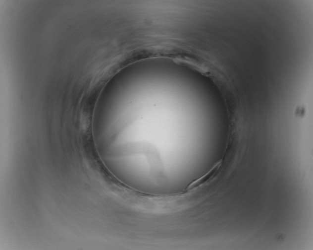 X0000112970033200909031056