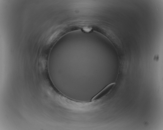 X0000112970035200909031056