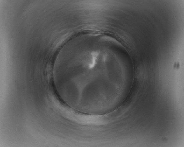 X0000112970036200909031056