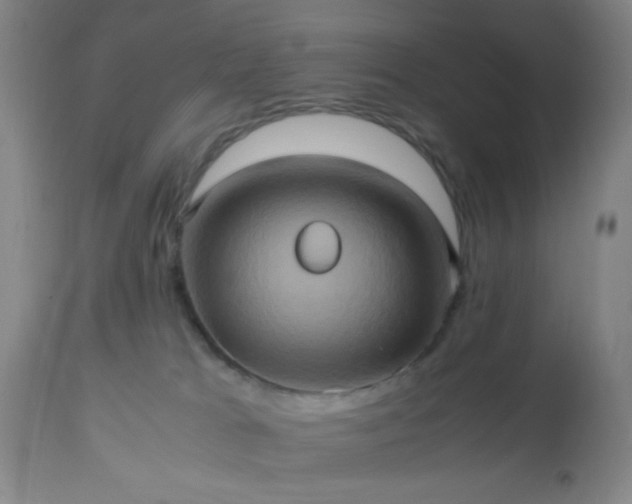 X0000112970037200909031056