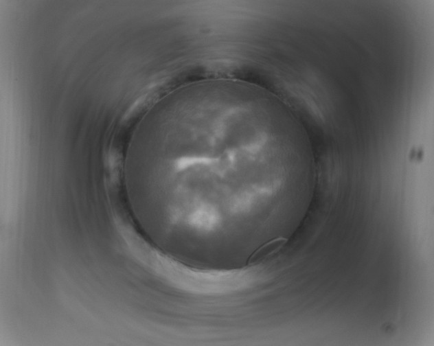 X0000112970038200909031056