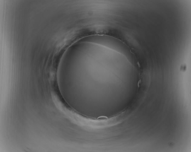 X0000112970039200909031056