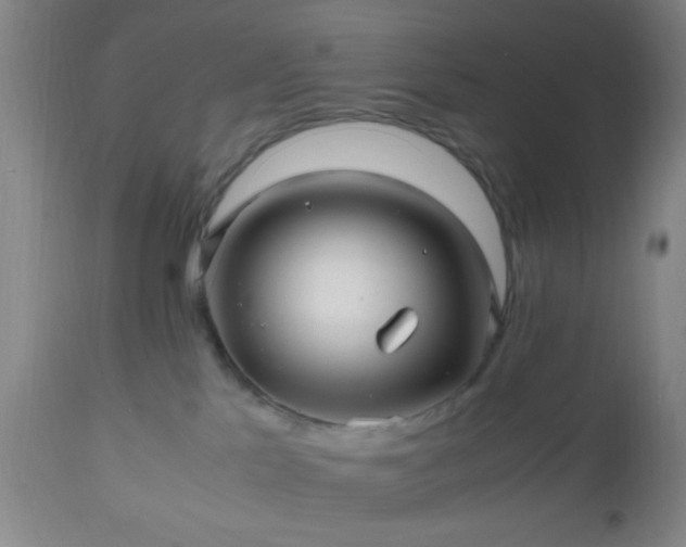 X0000112970041200909031056