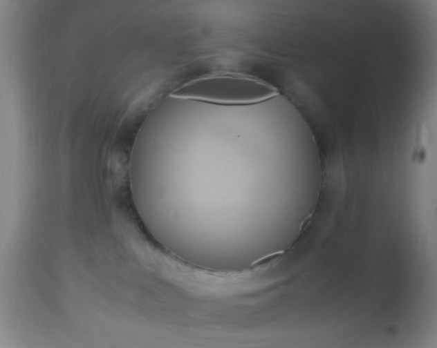 X0000112970043200909031056