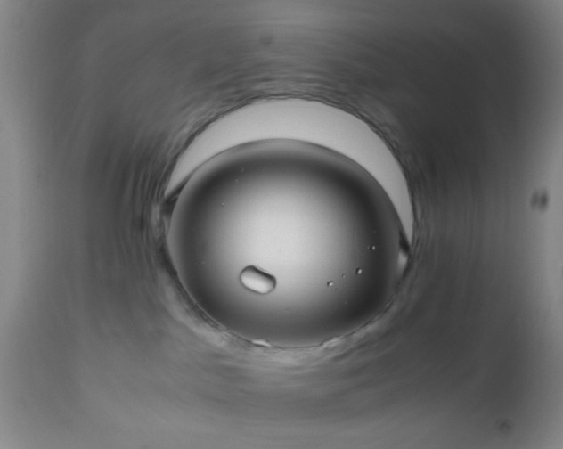 X0000112970045200909031056