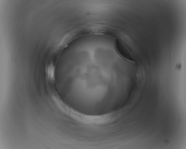 X0000112970046200909031056