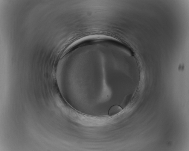 X0000112970048200909031056