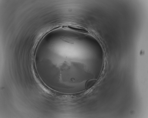 X0000112970049200909031055