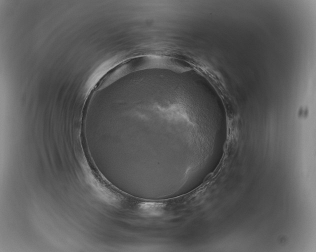 X0000112970051200909031055