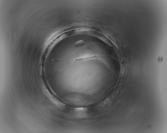 X0000112970053200909031055