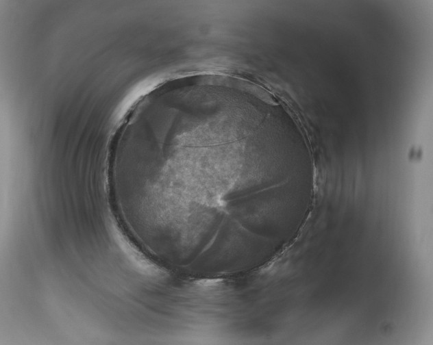 X0000112970054200909031055