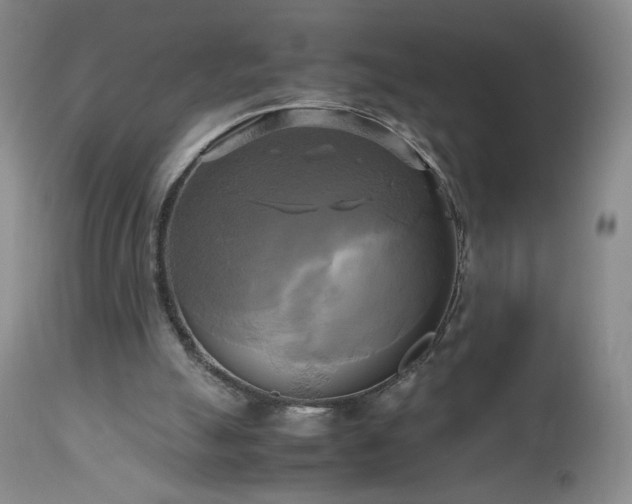 X0000112970055200909031055