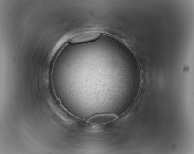 X0000112970056200909031055