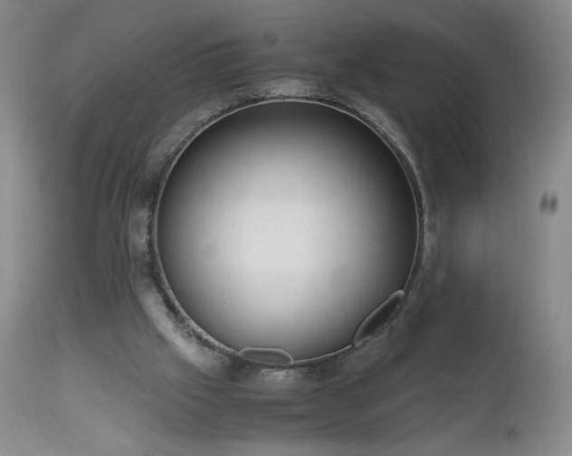 X0000112970057200909031055