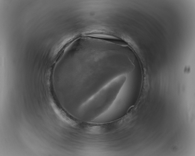 X0000112970058200909031055