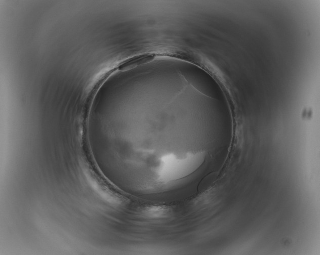 X0000112970059200909031055