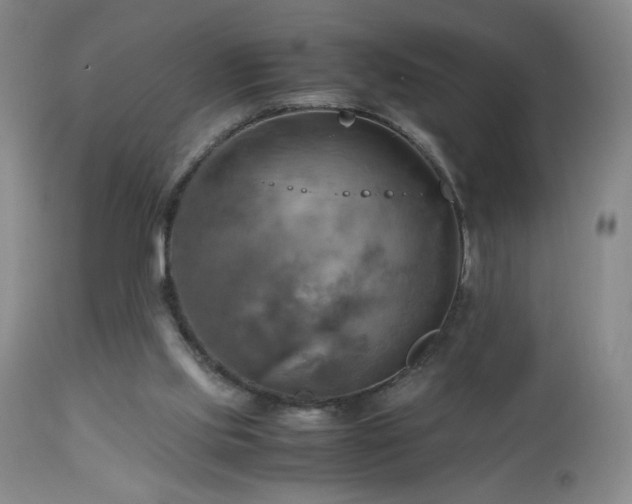 X0000112970061200909031055