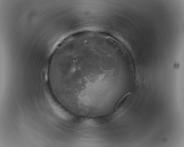 X0000112970062200909031055