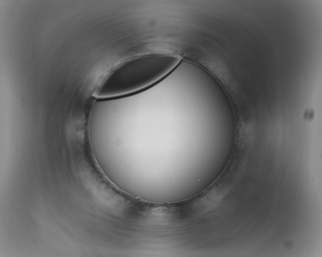 X0000112970064200909031055