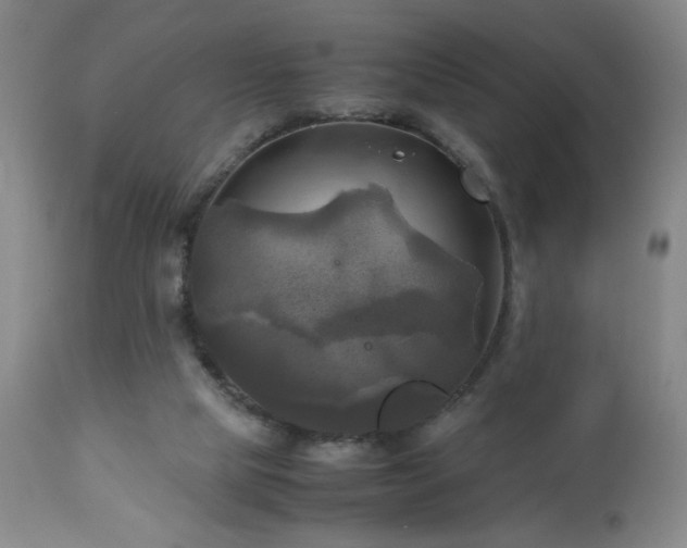 X0000112970065200909031055