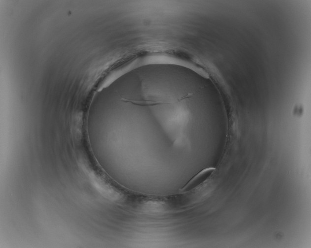 X0000112970066200909031055