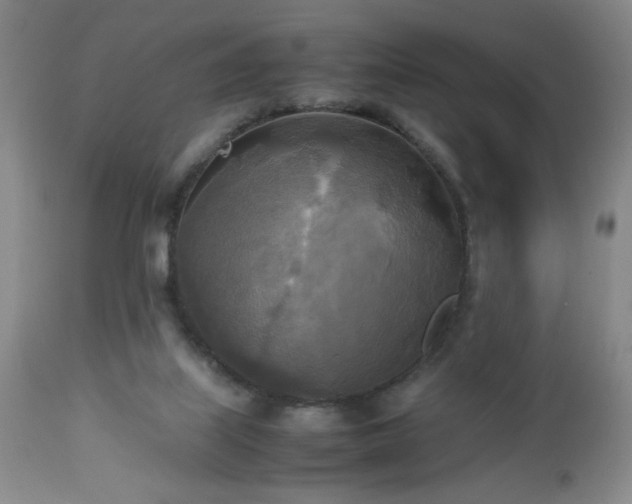 X0000112970067200909031055