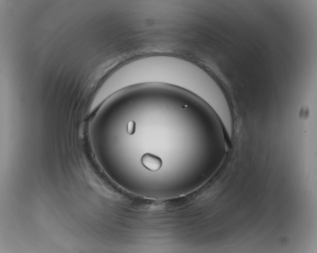 X0000112970068200909031055