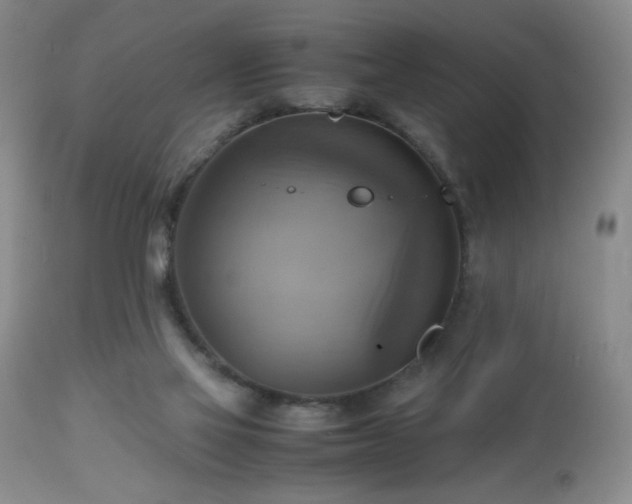 X0000112970069200909031055