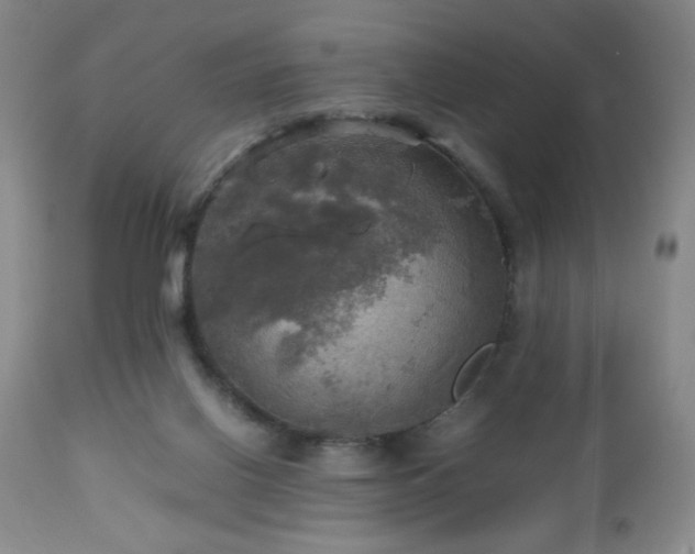 X0000112970070200909031055