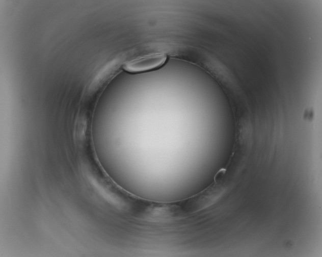 X0000112970072200909031055