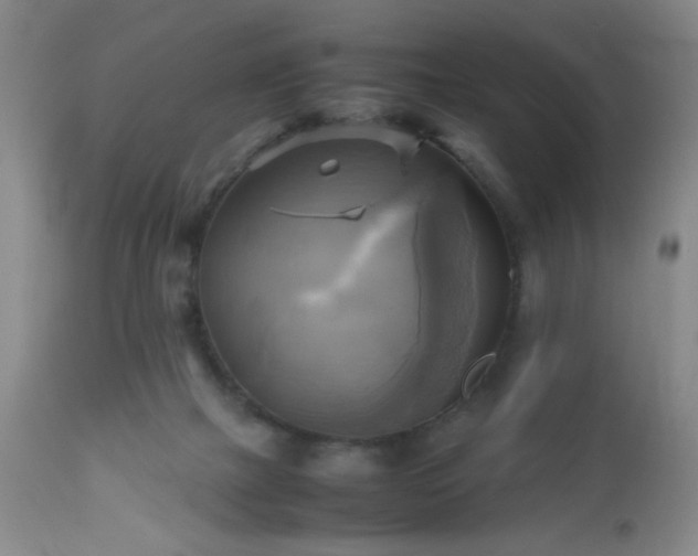 X0000112970073200909031055