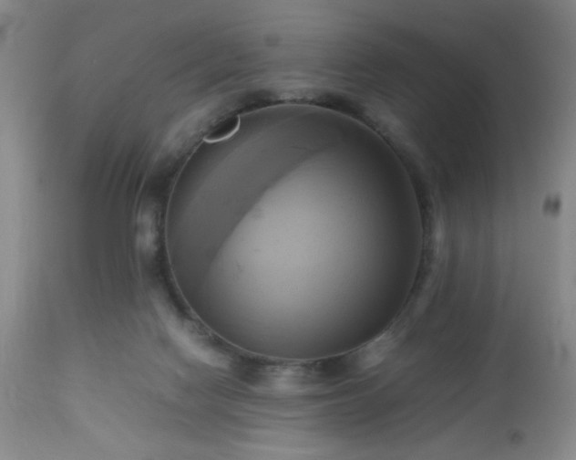 X0000112970074200909031055