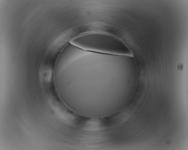 X0000112970076200909031055