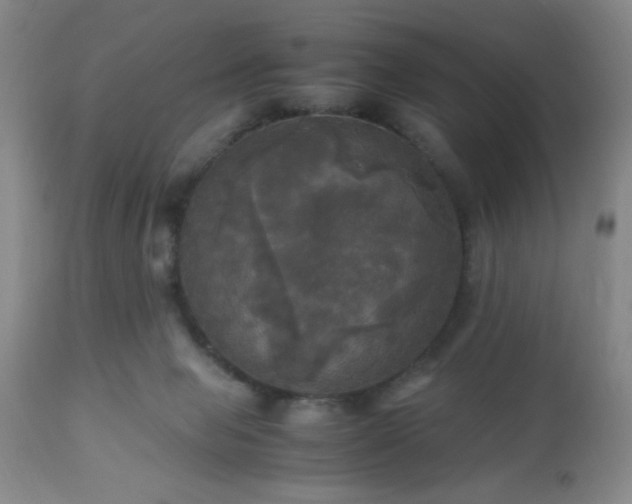 X0000112970077200909031055