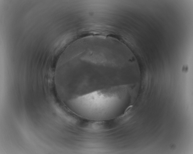 X0000112970078200909031055