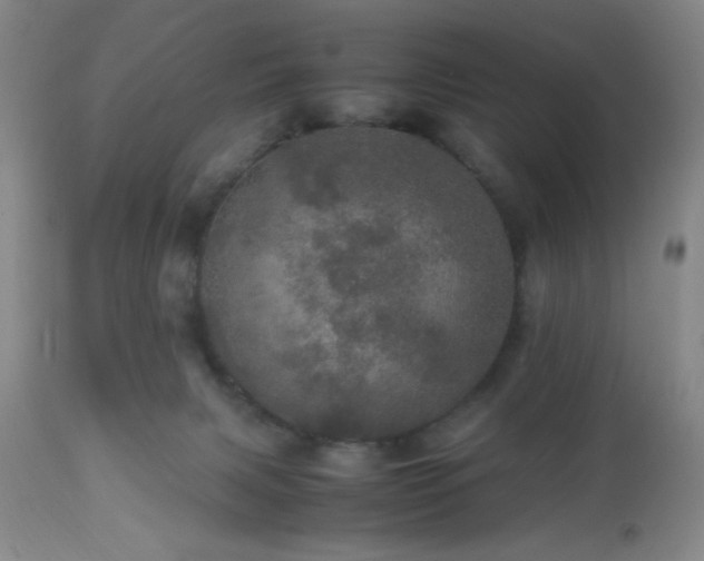 X0000112970079200909031055