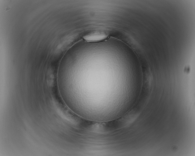 X0000112970080200909031055