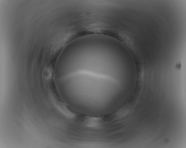 X0000112970081200909031055