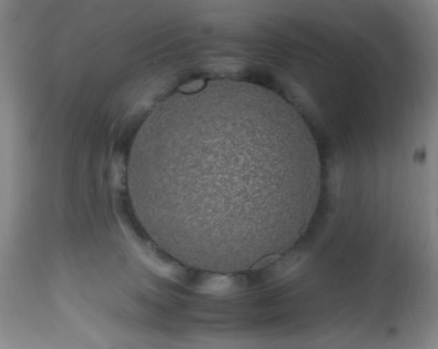 X0000112970083200909031055