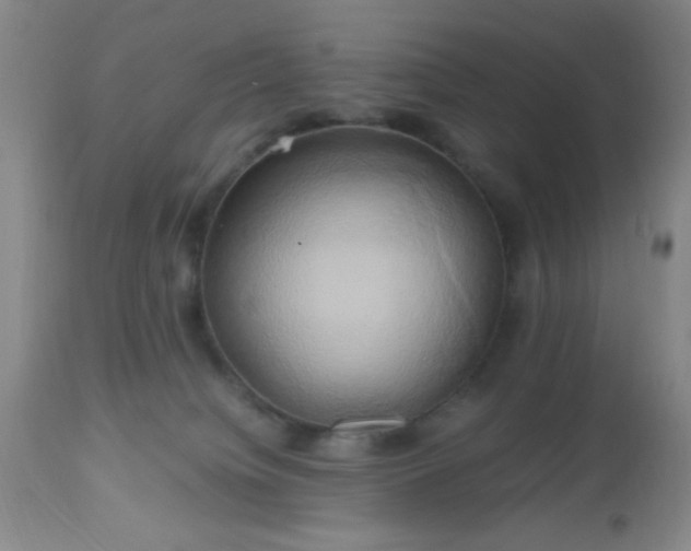 X0000112970084200909031055