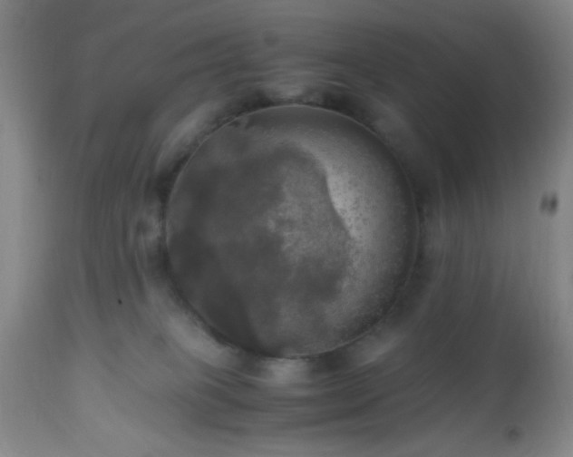 X0000112970085200909031055