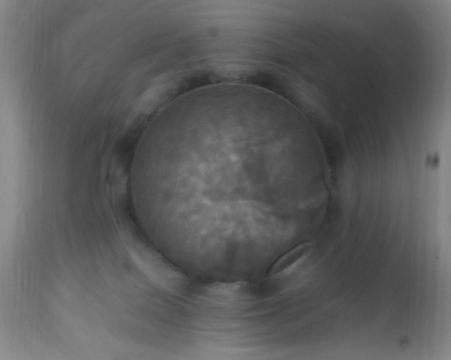 X0000112970086200909031055