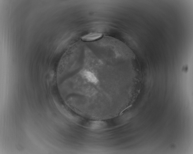 X0000112970087200909031055