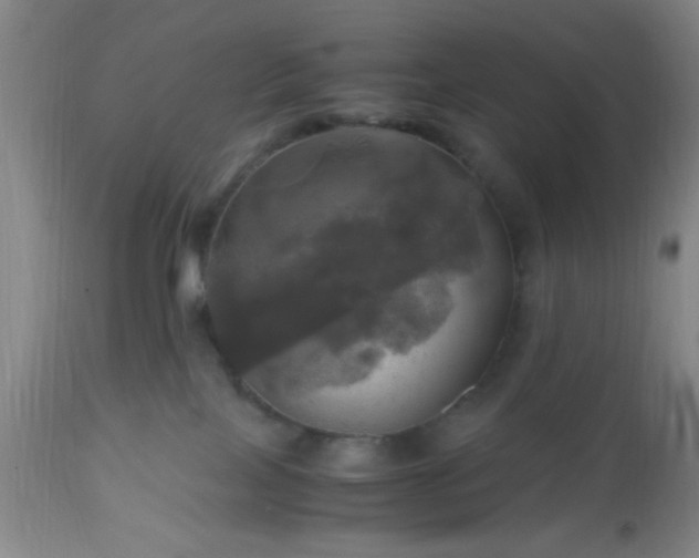 X0000112970089200909031056